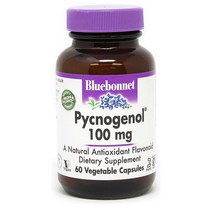 블루보넷 호팍사 피크노제놀 분말 100mg 60베지캡슐, 1개, 기본