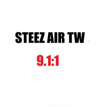 daiwa steez air tw 베이트 캐스팅 낚시 릴 일본 원산지 9.1:1 6.8:1 tws utd 135g 121bb max3.5kg 에어 브레이크 시스템 릴 낚시, 스티즈 에어 TW 9.1, 왼손