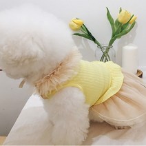 바보사랑 애견용품 애견의류 강아지옷 케이프 데일리 봉봉 .디작소, S, 선택완료