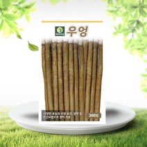 솔림텃밭몰 우엉씨앗 300립 우엉씨 종자 민속채소, 1개