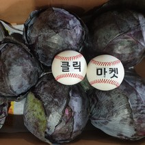 클릭마켓 적양배추 적채 국내산 8kg내외 샐러드야채 샐러드채소 용