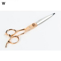 AICHI 전문가용 헤어 커트 커팅 미용가위 DX-60 ypak82*68708180lm, 본상품선택, 본상품선택