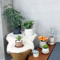 국산 고급 수제 토분 뜨레몽 테라코타 인테리어 화분 도자기화분 세라믹화분, e 원기둥 화분, 3. 그레이