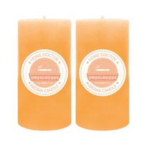 홈닥터 기능성 캔들, 담배냄새&화장실냄새, 570g, 2개