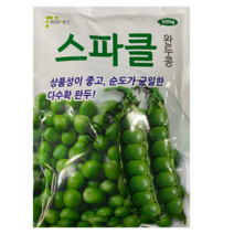 스파클 완두콩 씨앗 500g 대포장 대용량 조생종 보리콩 숙기빠른 애콩종자 PPS종묘