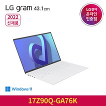 LG전자 그램 17Z90Q-GA76K NVMe 1TB 교체, WIN11 Home, 16GB, 1024GB, 코어i7, 화이트