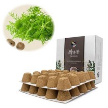 ForU54 좌훈봉 쑥봉 쑥찜질 간편뜸 50P 박스 쑥뜸 뜸 쑥뜸기 뜸쑥 셀프뜸, 상세페이지 참조