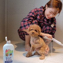 애견샴푸 고양이 강아지 약용샴푸 천연샴푸 린스 푸들 말티즈 비숑, 1-1.버박샴푸 - 앨러밀SIS 샴푸