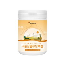 네덜란드 산양유 단백질 분말 가루 락토프리 분리 유청 단백 프로틴 파우더 bcaa 미셀라카제인 효능, 1개, 320g