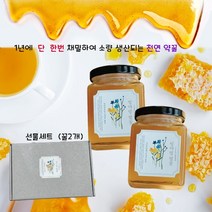 자연숙성약꿀 약초꿀 1년에 단 한번 소량생산 귀한 천연벌꿀 성마령 산야초 선물세트, 약꿀선물세트- 280gX2개