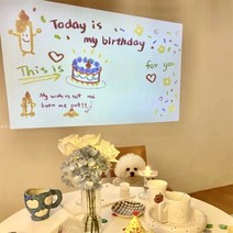 생일 축하 문구 미니빔 파티 배경 꾸미기 현수막 홀로그램 인스타 포토존 만들기 파티용 홈파티 용품 촬영 소품 제작 데코 조명 파티커튼, 사각 그래피티 생일 프로젝터 (배터리)