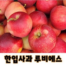[산지직송] 경북 루비에스 미니 사과 2kg 당도 14Brix이상 A품 B품, 1박스, 2Kg A품