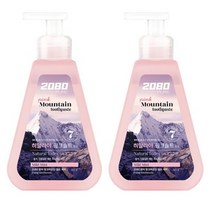 2080 퓨어 핑크마운틴 펌프 치약, 295g, 10개
