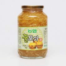 모과청 고흥 두힐 두원농협 모과차 1kg x 2병, 단품, 1000g