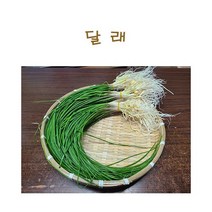 #가락시장 나물이네# 당일경매 달래 200g (달래의지존 서산달래가 갑니다^^)/오후2시이전주문당일출고99%/주말 공휴일제외