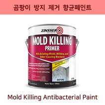 [던에드워드] [균페인트] [베란다페인트] 몰드킬링 프라이머 4L 곰팡이 위 바로 칠 가능 빠른 건조시간 냄새없는 무독성페인트베란다벽면페인트 베란다페인트 곰팡이박멸 박테리아 제거 셀프페인트 셀프페인팅 셀프인테리어