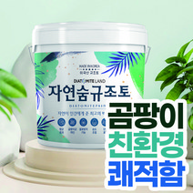 결로방지페인트 자연숨 규조토페인트 18kg 곰팡이방지 벽지 항균 베란다 실내 단열페인트, 24.그린B(하단 색상표참조), 1개