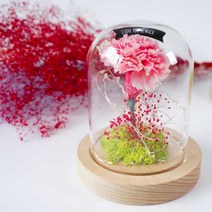 프리저브드 감사의 표현 카네이션 유리돔 무드등, S-슈가핑크