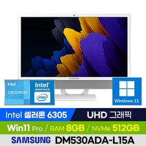 삼성전자 삼성 올인원PC DM530ADA-L15A 사무용 인강용 가정용 가성비 일체형PC (셀러론/UHD그래픽/윈도우11 Pro), 8GB, 윈도우 포함, 512GB