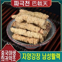 야생약초 파극천 500g 남성활력 건조 노니뿌리 청열해독 남성영양 중국