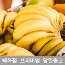 과일 (특등급)오늘출고 바나나13KG 바나나 바나나가격 바나나열량 수입바나나 바나나주스 바나나쥬스 바나나식초 열대과일 수입과일 [WBB8D76], 쿠팡 13KG 6송이, 쿠팡 본상품선택