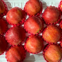 [사과 추석 선물세트] 홍로 프리미엄 실속세트 대과 중대과 3kg 5kg, 홍로프리미엄대과7-8과