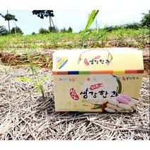 서산생강한과 선물세트 1kg 이조팜, 강정2+산자1