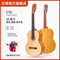 익스플로러 펜더 일렉트릭 기타 텔레 캐스터 케이스 키트 커스텀 스트링, 36inch classic C10