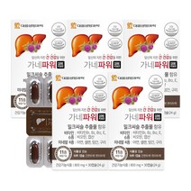 대웅생명과학 가네파워 30캡슐(1개월분) / 밀크씨슬, 30정, 5박스