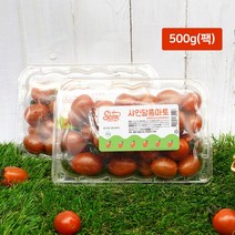 가족 공장직송 스테비아 샤인달콤마토 대추방울토마토 500g