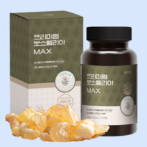 대용량 프리미엄 인도산 고순도 보스웰리아 맥스 1000mg x120정 사막의진주 유향나무, 상세페이지 참조, 상세페이지 참조, 상세페이지 참조