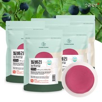 빌베리 농축분말 파우더 와일드 블루베리 500g, 5팩