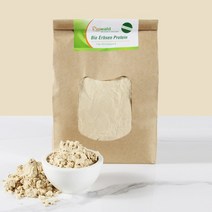 피오왈드 유럽 NON-GMO 유기농 식물성 완두콩 단백질 파우더 비건 단백질쉐이크 500g 1kg, 유기농 완두콩 단백질 500g