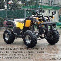사륜 바이크 사발이 오프로드 전기 미니 레저 오토바이, A