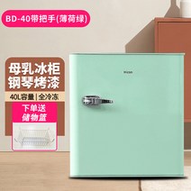 서랍형 소형 미니 냉동고 가정용 보존식 보관용 아이스크림 캠핑용 음식물쓰레기 보관 40L 휴대용 가정용, 냉동고 40L-민트 손잡이