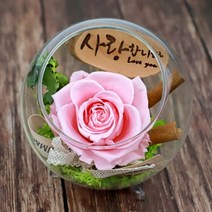 [바보사랑] 시들지않는 꽃 한송이 장미 유리병 프리저브드, 색상선택:한송이장미유리볼(레드) / 픽선택:건강하세요