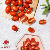 [산지마켓] 프리미엄 대추방울 토마토 로얄과 스테비아급 당도선별 애플 방울토마토 유기농 대저 대추방울 1.5kg