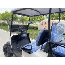 골프장카트 전동카트 전기카트 4 인승 빈티지 리프팅 전기 골프 카트, [04] 8 seats