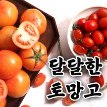 에스와이 스테비아토마토, 스테비아방울토마토x2팩 (1kg)