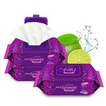 수려니 프리미엄 대형 엠보싱 물티슈 캡형 60매