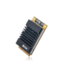 RAK2287 | WisLink LPWAN 집중 장치 최신 Semtech SX1302 가있는 RAKwireless IoT 게이트웨이, 04 KR920_01 SPI Without GPS