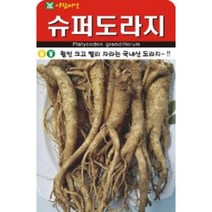 AR 슈퍼 도라지 소포장 1000립 도라지 씨앗
