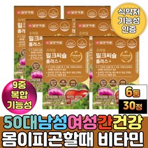 육체피로 몸이피곤할때 실리마린 밀크씨슬 활력 비타민 간에좋은 간기능식품 홍삼 농축 헛개나무열매 추출 분말 가루 필수아미노산 류신 타우린 판토텐산 영지버섯 결정셀룰로스