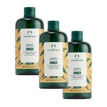 더바디샵 샴푸 진저 스캘프 케어 400ml 3개, 상세페이지 참조