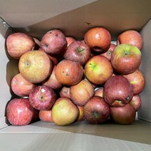 대감댁 경북 사과 못난이 홍로 낙과 흠과 흠집 쥬스용 주스용, 홍로 쥬스용 사과 6kg, 1개