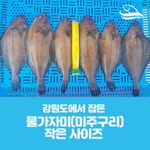 국내산-급냉 물가자미(미주구리) 식해용 작은사이즈20미 원물
