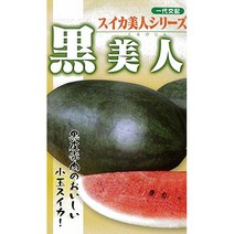 후타바 종묘 西瓜 黒美人 (수박) 종 · 작은 자루 포장 (10 알) フタバ種苗 西瓜 黒美人 (スイカ) 種・小袋詰(10粒)