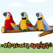 [최고품질 당일발송]로앤제이 당일발송 말 따라하는 앵무새 인형, 그린