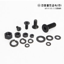특강 접시머리 볼트 사라볼트 (6mm ~ 60mm) M3 M4 M5 M6 M8 M10, 40mm