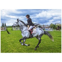 C238-0/말사진 대형사진 A1 마장마술사진 경주마사진 인테리어사진 풍경화 풍경사진 풍경화그림, 유포지(코팅)